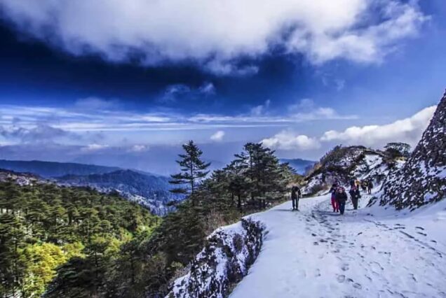 darjeeling treks and tours